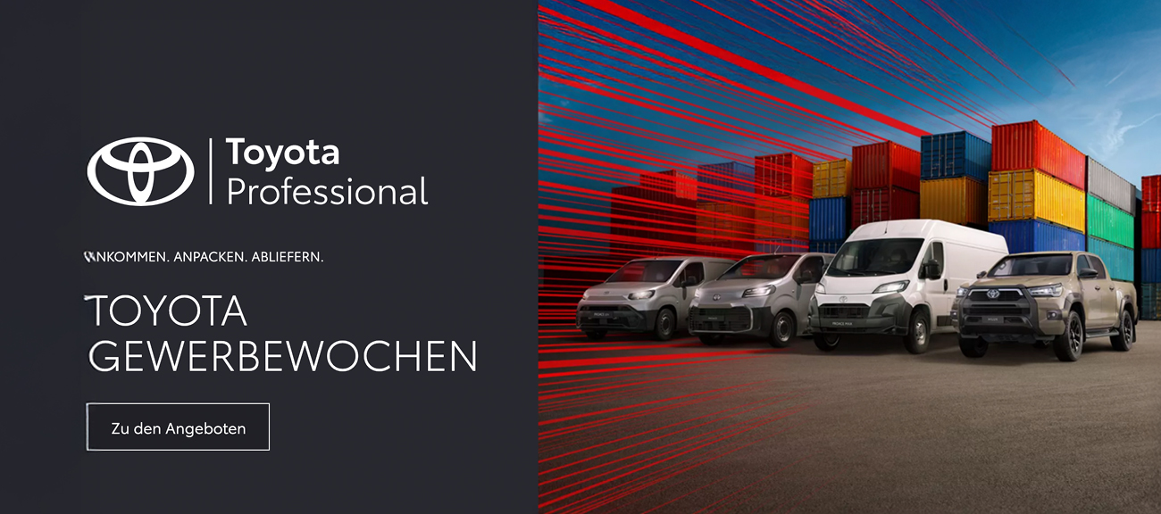 Online Toyota NFZ Gewerbe